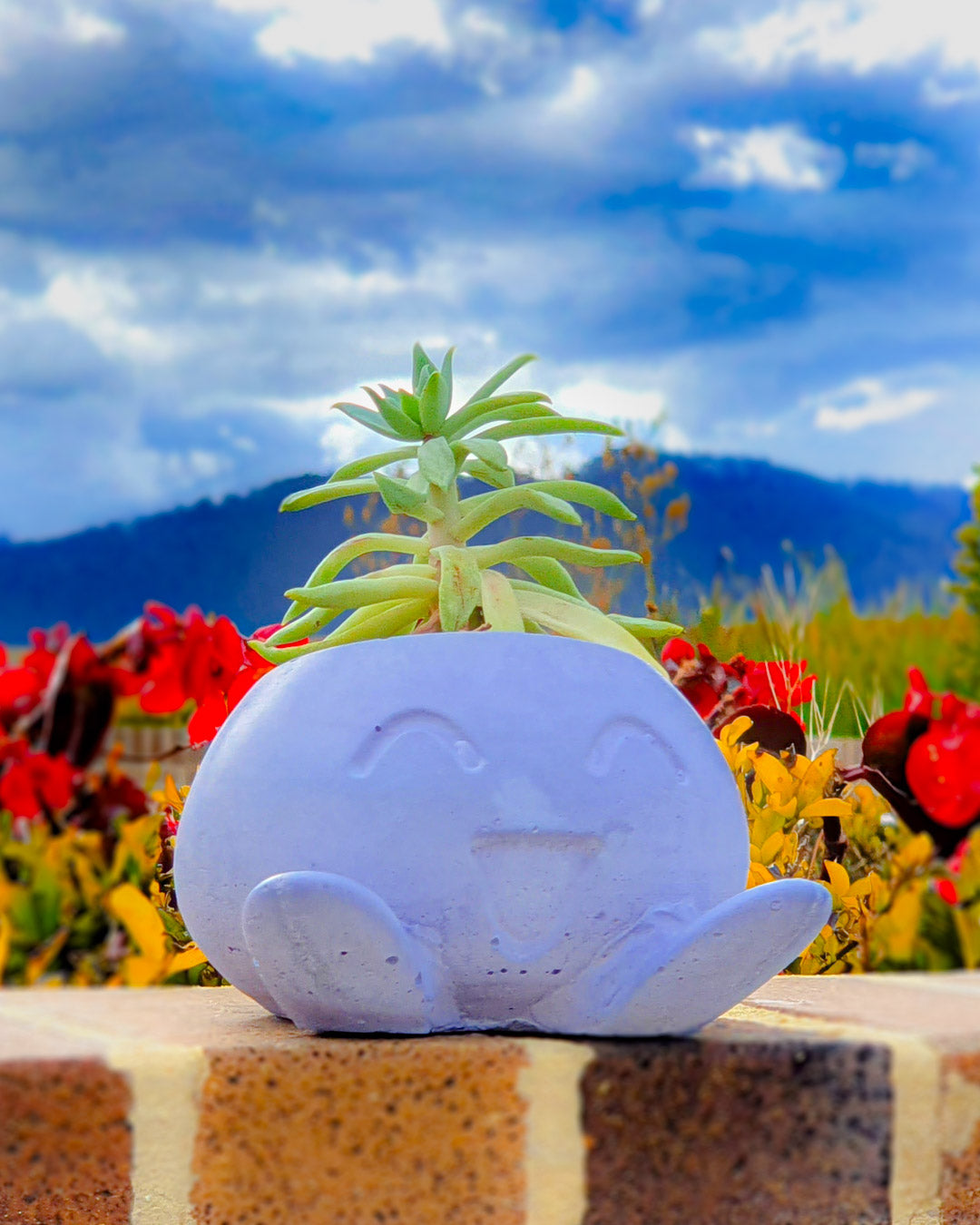 Matera Oddish !