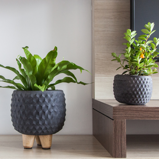 Combo Matera Victoria y mini victoria