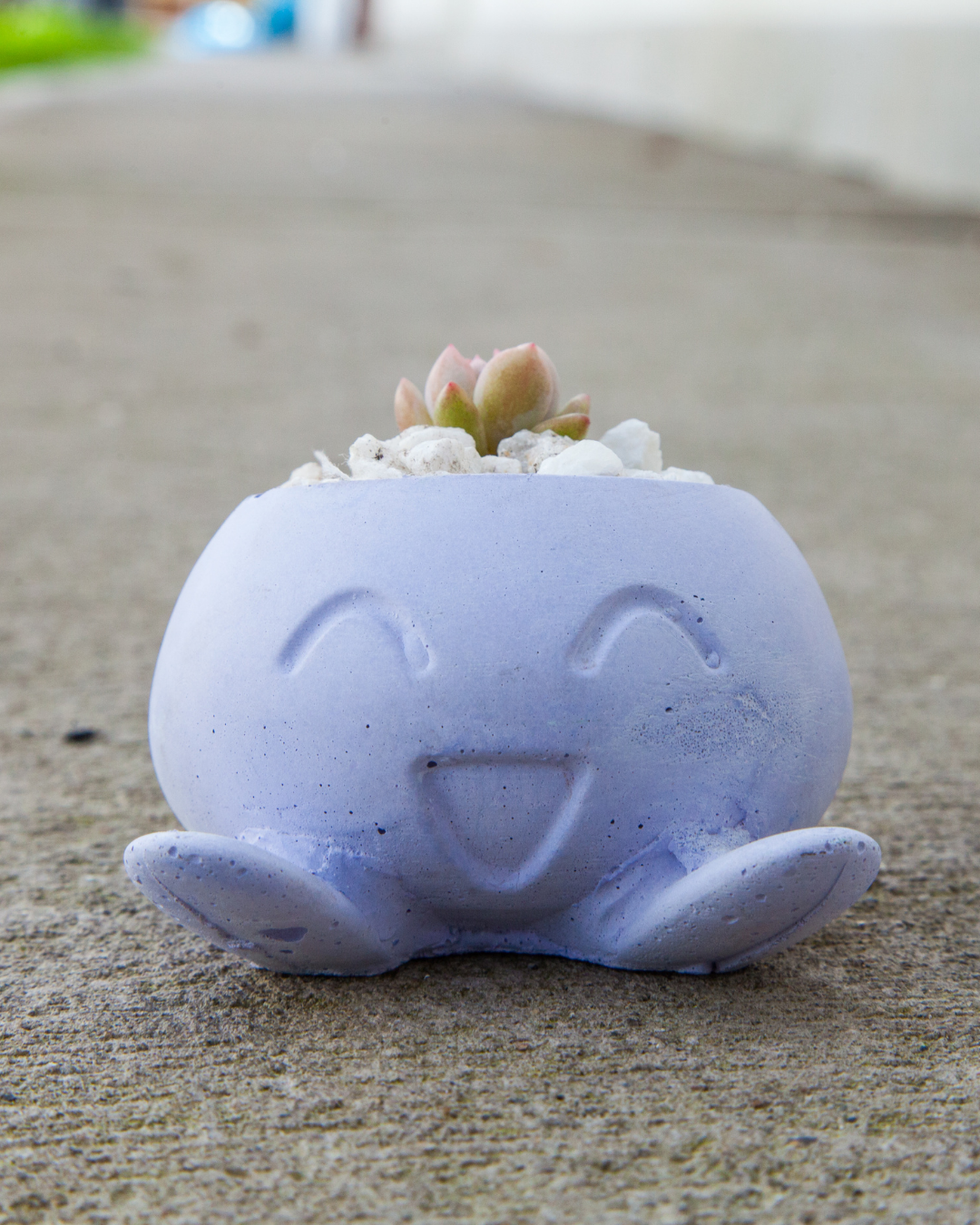 Matera Oddish !