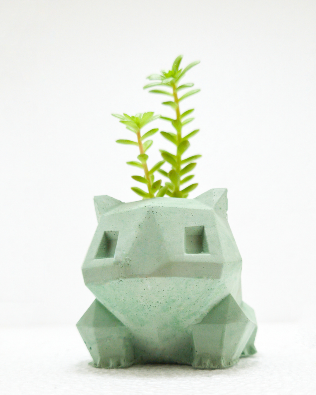 Matera Bulbasaur