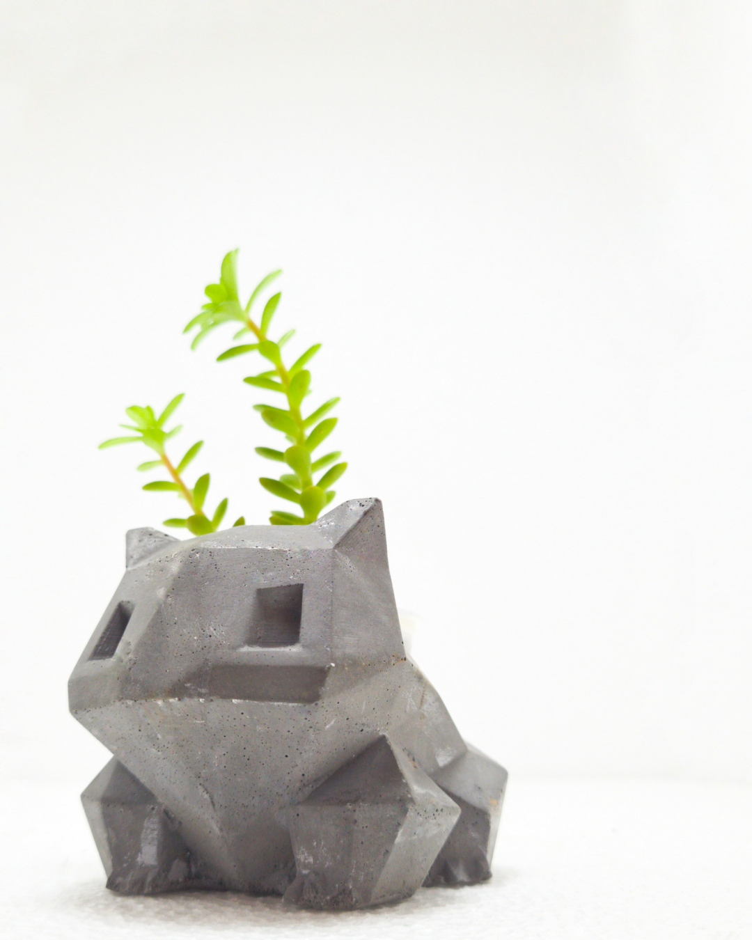 Matera Bulbasaur