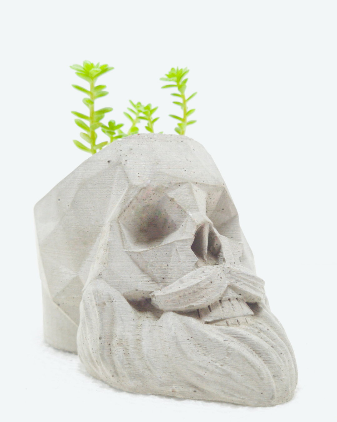 Matera calavera barba