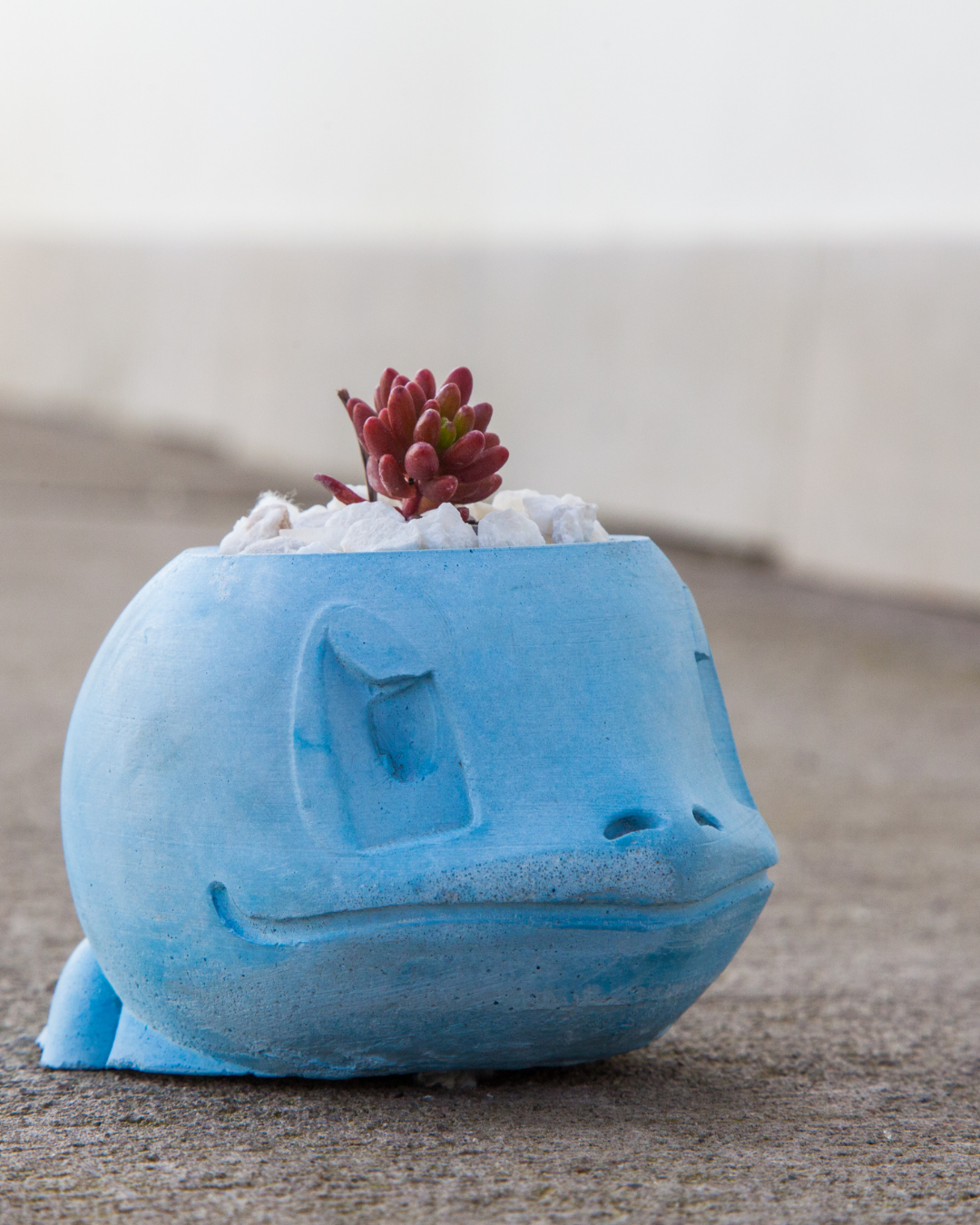 Matera Pokémon Squirtle