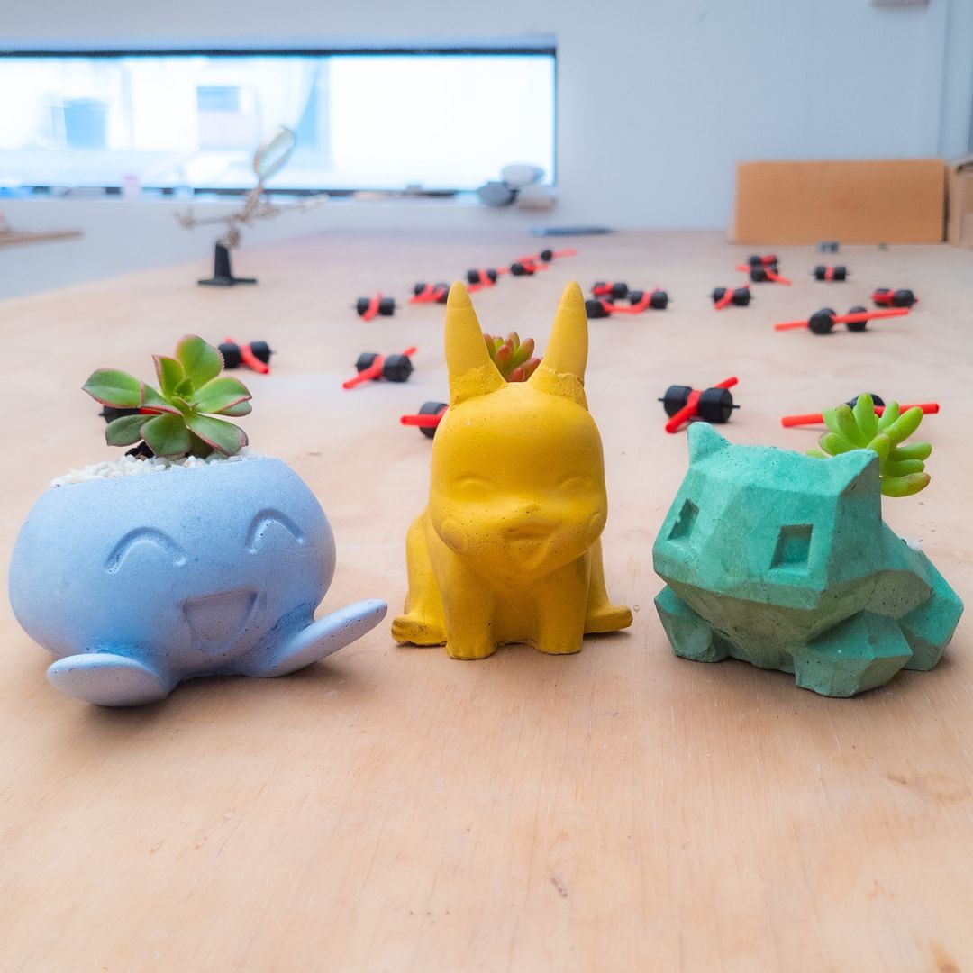 Kit Maestro pokemon