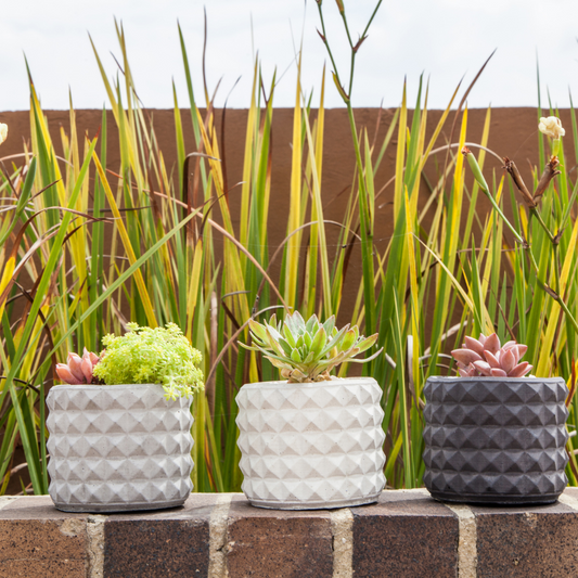 Matera piramide cuadrada