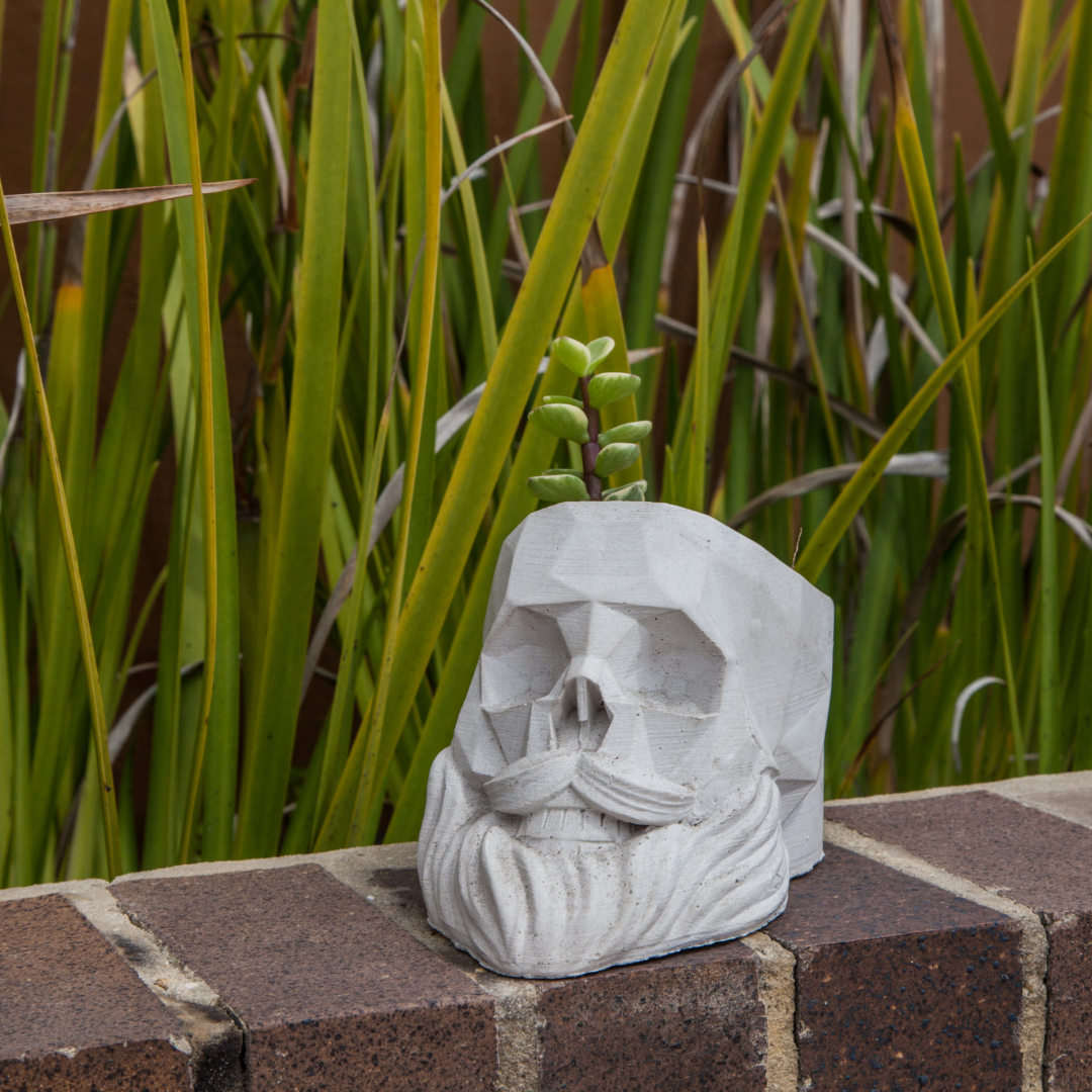 Matera calavera barba