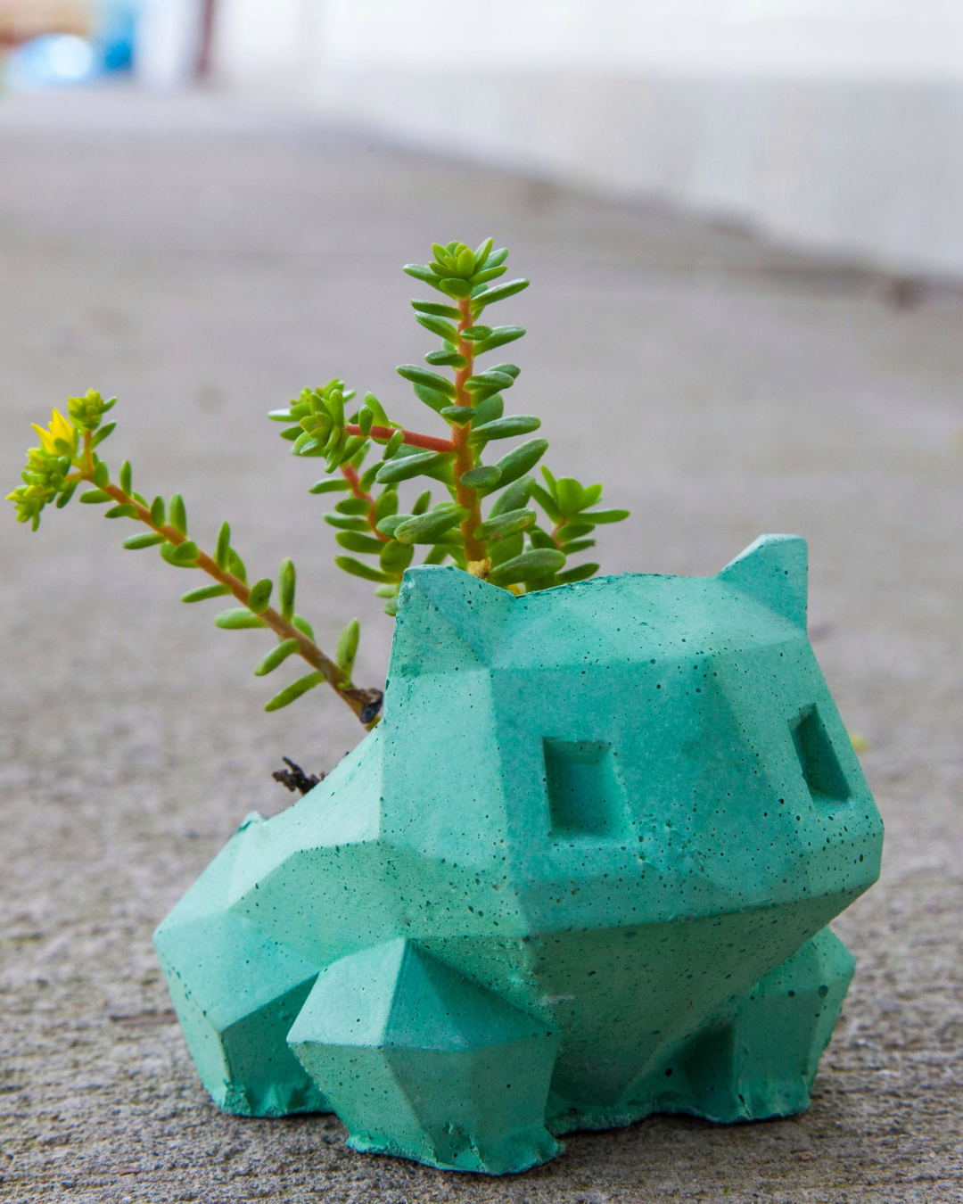 Matera Bulbasaur