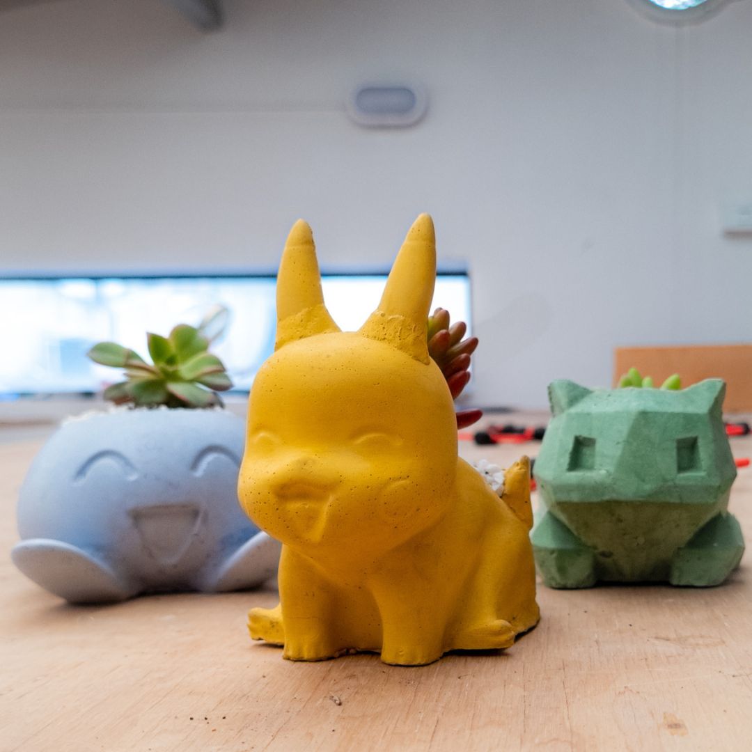 Kit Maestro pokemon