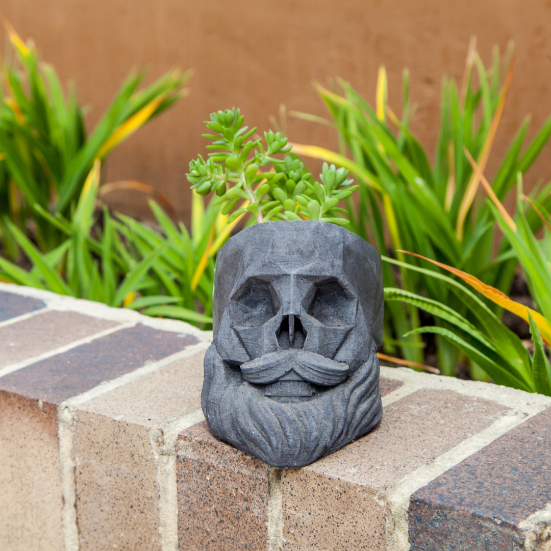 Matera calavera barba