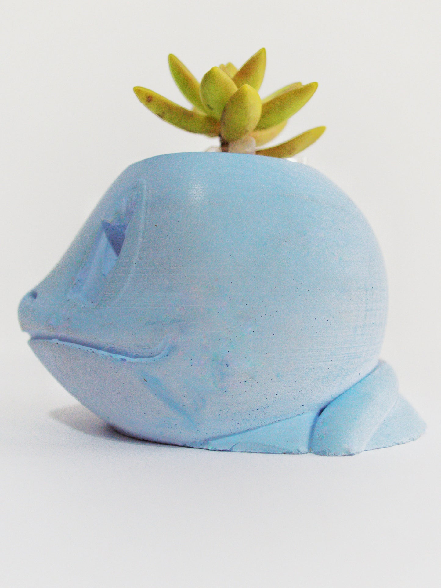 Matera Pokémon Squirtle