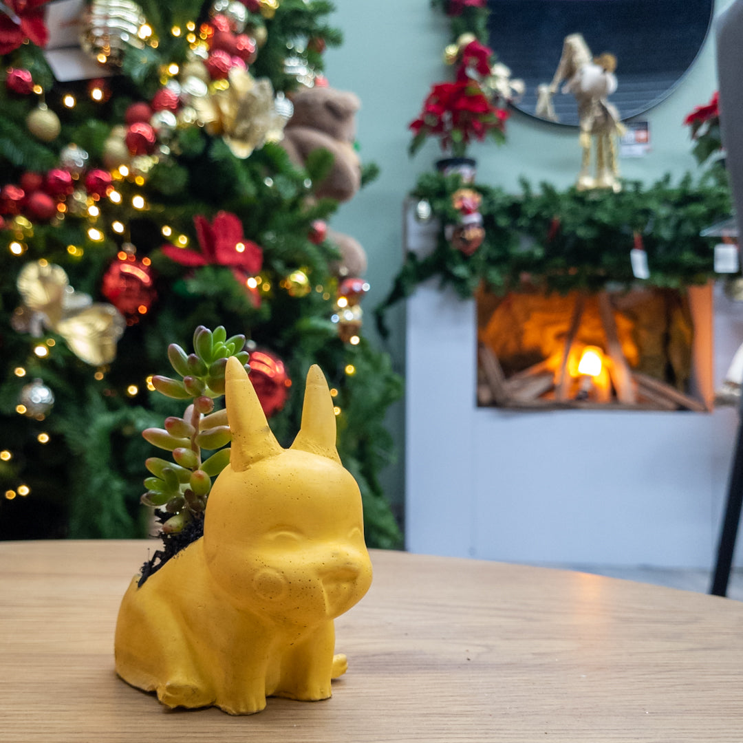 Matera Pikachú