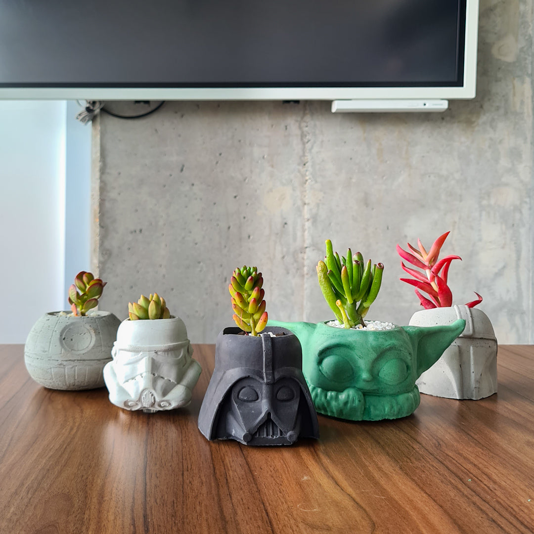 Colección materas Star Wars
