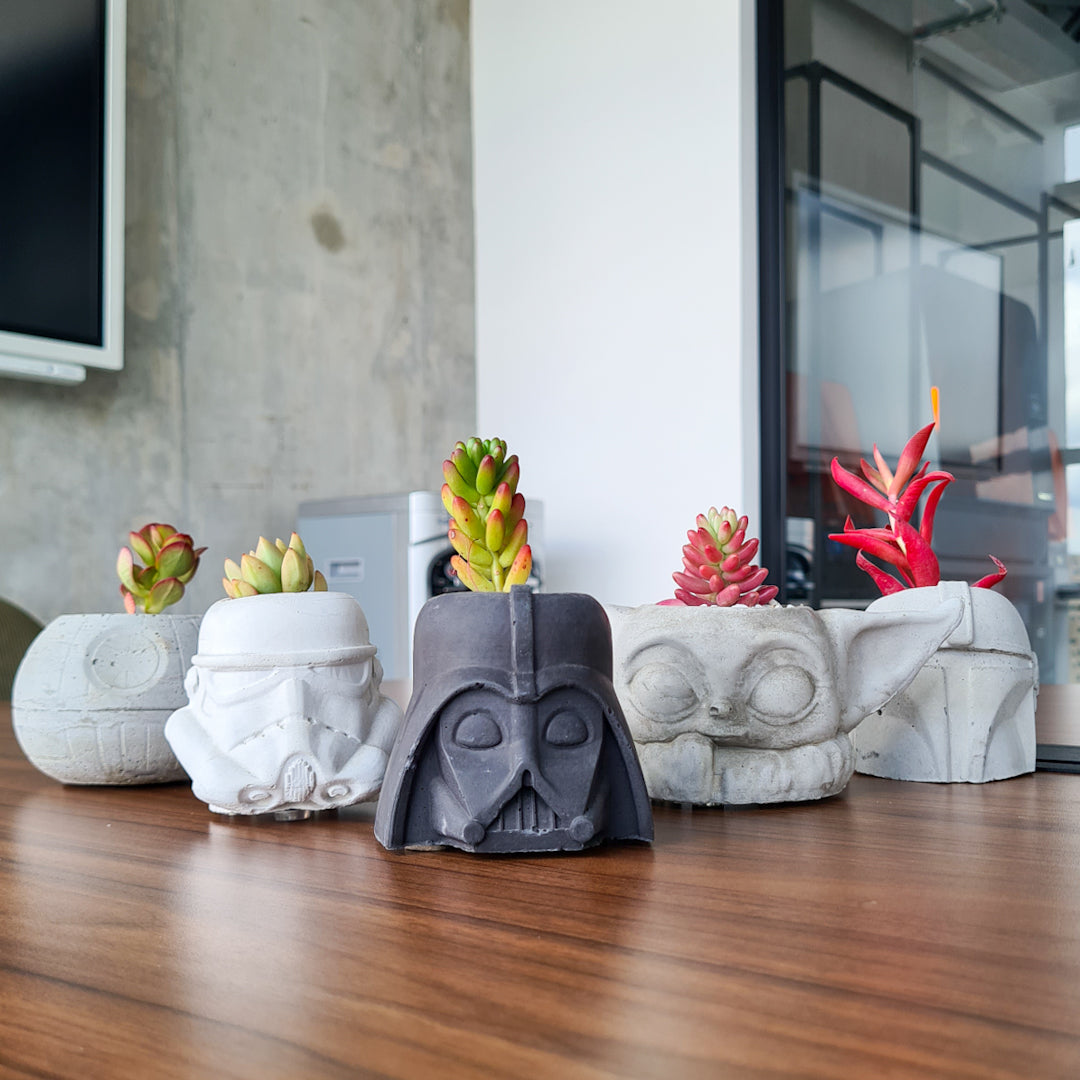 Colección materas Star Wars