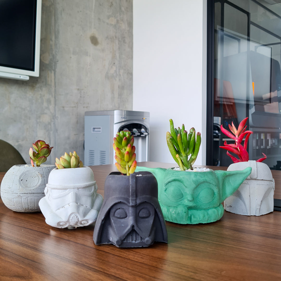 Colección materas Star Wars