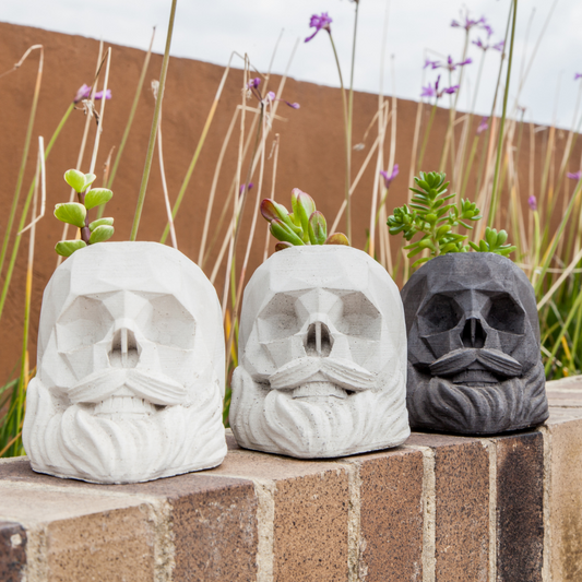 Matera calavera barba